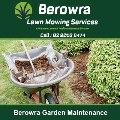 Wheelbarrow filled with soil & gardening tools in Berowra