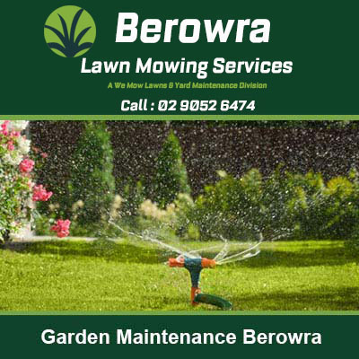 Sprinkler watering lawn & garden beds in Berowra