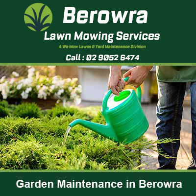 Watering plants with a green watering can in Berowra