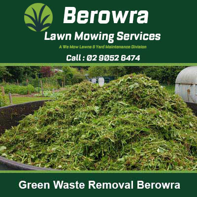 Large pile of green garden waste and plant debris in Berowra