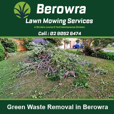 Tree branches & garden trimmings on a lawn in Berowra