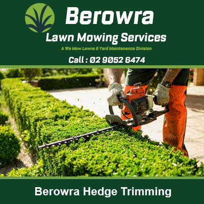 Using hedge trimmer to cut a neatly shaped hedge in Berowra