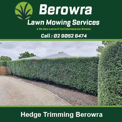 Neatly trimmed hedge along a driveway in Berowra