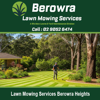 Local Berowra Heights lawn care specialist maintaining residential gardens and lawns