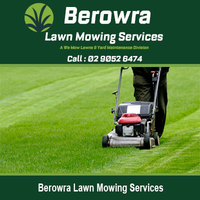 Lawn mower cutting grass on a green lawn in Berowra