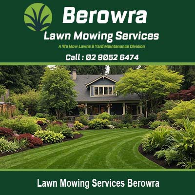 Beautifully maintained lawn with striped pattern in Berowra