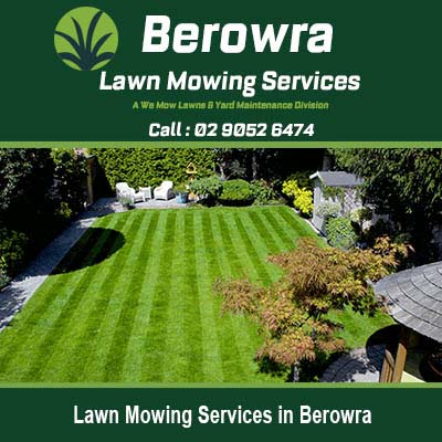 Striped lawn with professional mowing pattern in Berowra