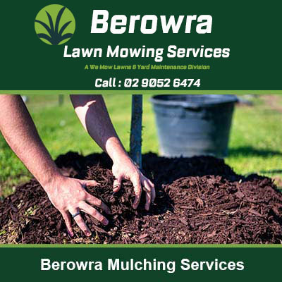 Hands spreading dark mulch around a plant in Berowra
