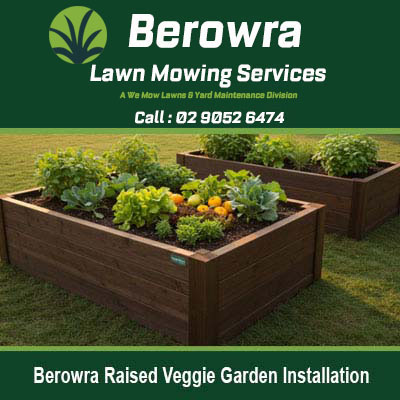 Wooden raised garden beds with vegetables in Berowra