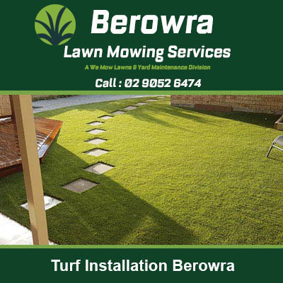 Newly installed turf laid out in backyard in Berowra