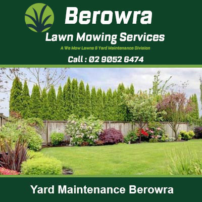 Well maintained residential yard in Berowra