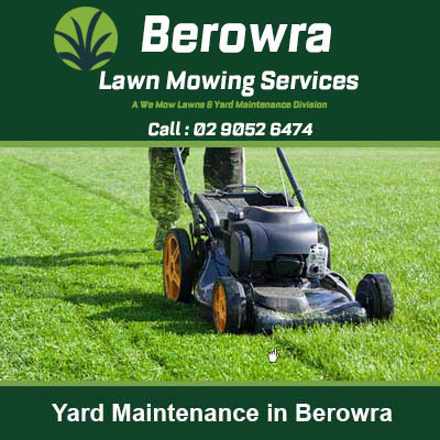 Riding mower on a green lawn in Berowra