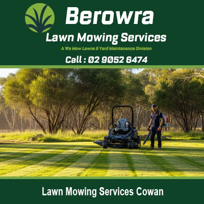Local Cowan lawn care specialist maintaining home gardens with professional mowing equipment