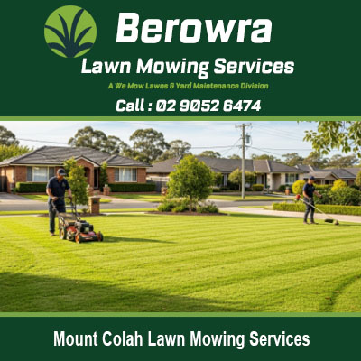 Quality lawn maintenance and grass cutting services available for Mount Colah homes and properties