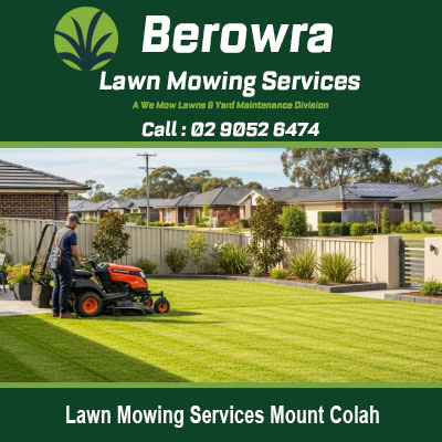 Professional lawn mowing services in Mount Colah NSW showing pristine residential grass maintenance