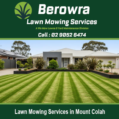 Berowra lawn mowing specialists providing professional garden care in Mount Colah area